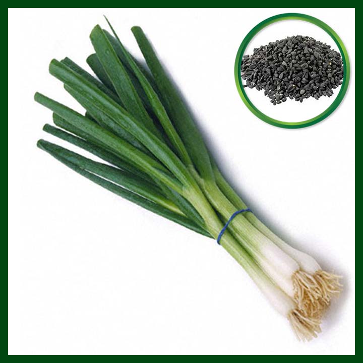 Bunching Onion - (40 to 55 Seeds) - MGS1203