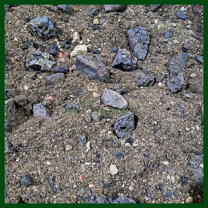 Cactus & Succulent Soil (New Mix) – sq