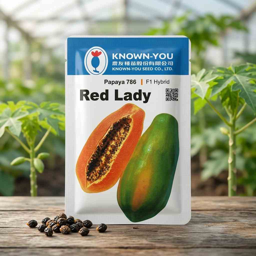 Papaya - Red Lady (Taiwanese) - F1 Hybrid - 120 to 140 Seeds