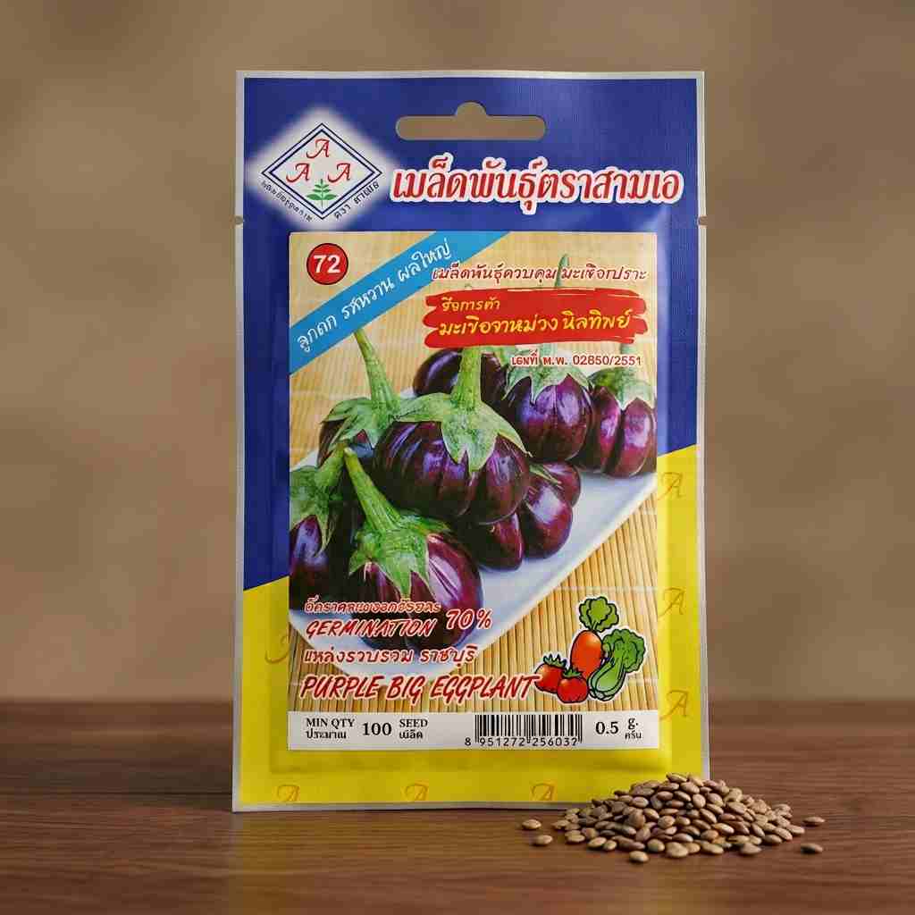 Purple Big Eggplant - 100 seeds - AAA - Thai
