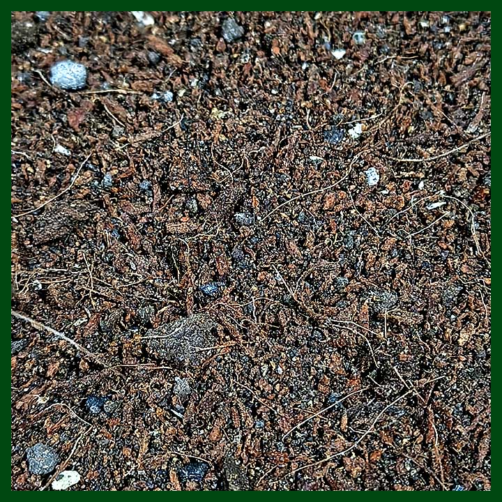 -Special Soilless Potting Mix - Image 3