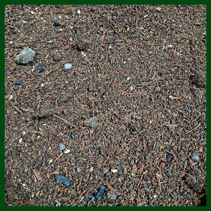 Special Soiless Potting Mix-sq2