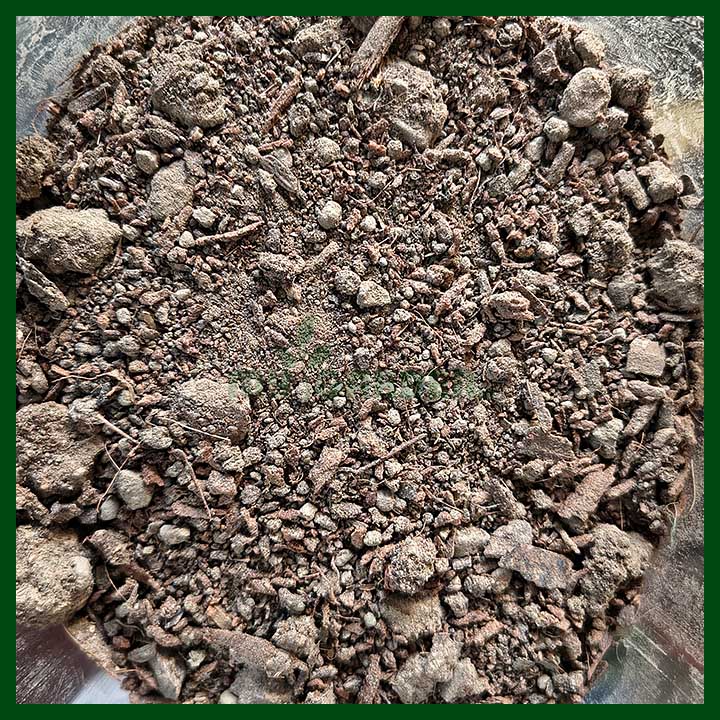 -Special Soilless Potting Mix