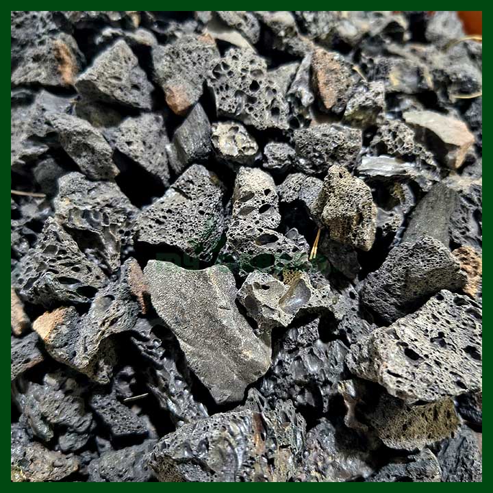 -Jhama (ঝামা) - Mixed Size - 1 kg