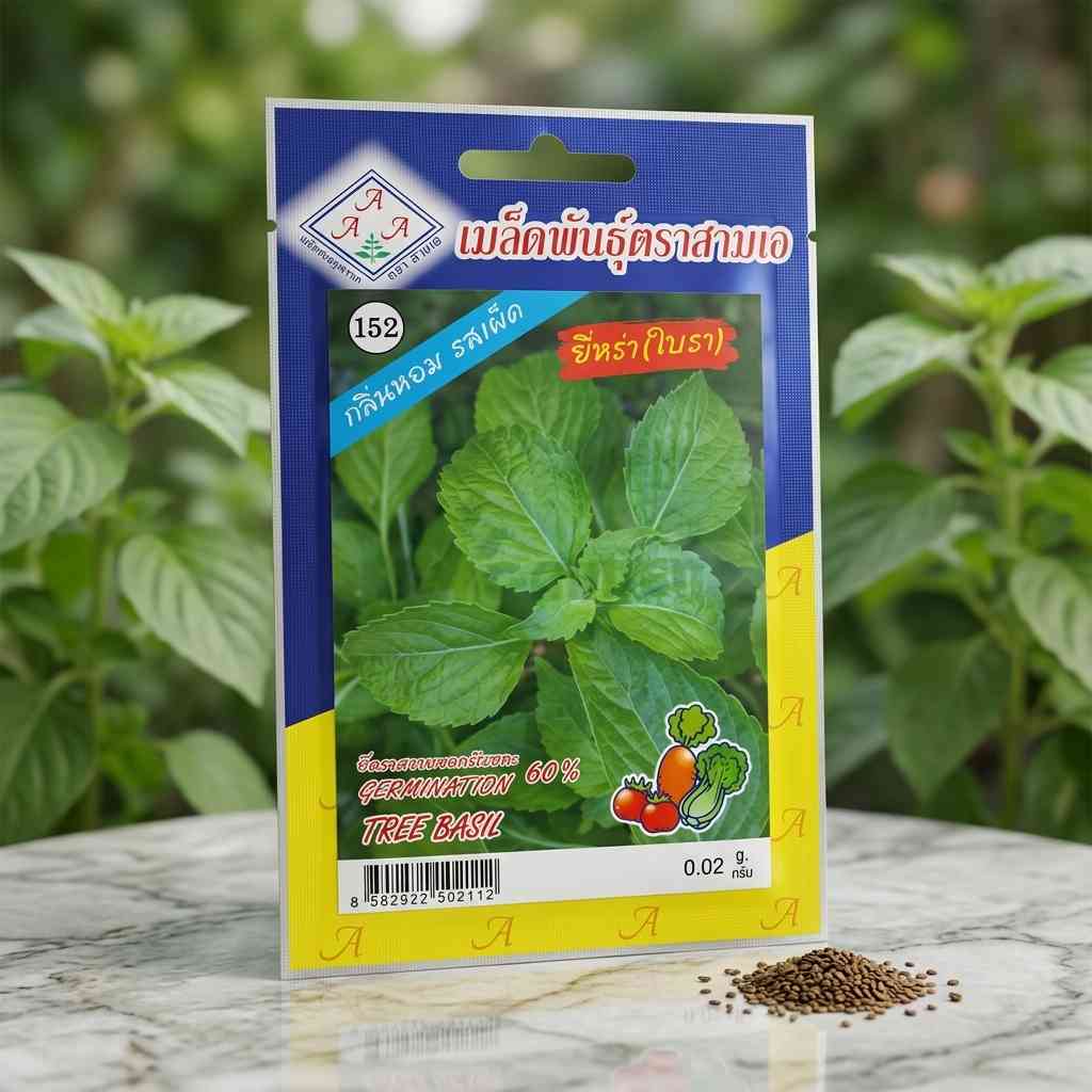 Tree Basil - 0.02 gram Seeds - AAA - Thai