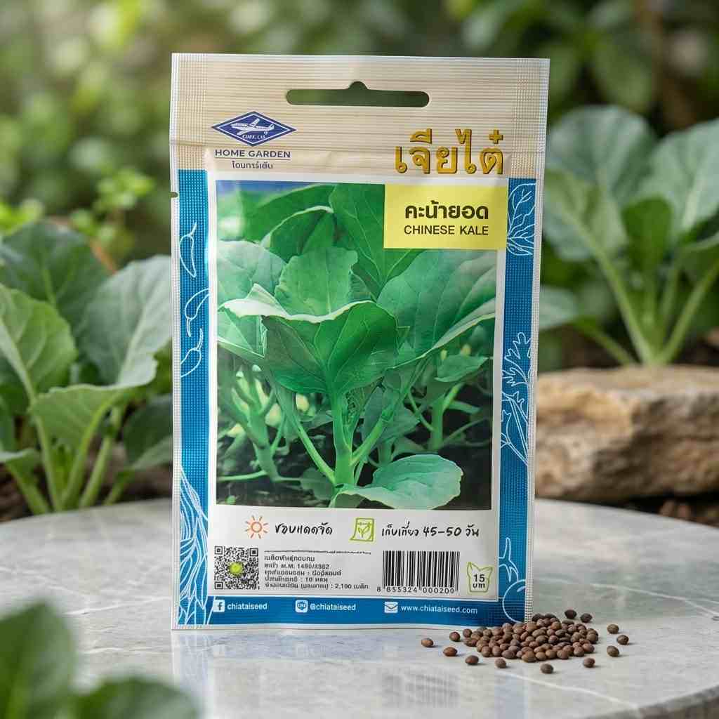 Chinese Kale - 1100 seeds - Chia Tai - Thai