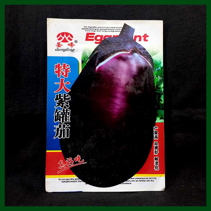 Extra Large Purple Canned Eggplant - Shengfeng - Chinese