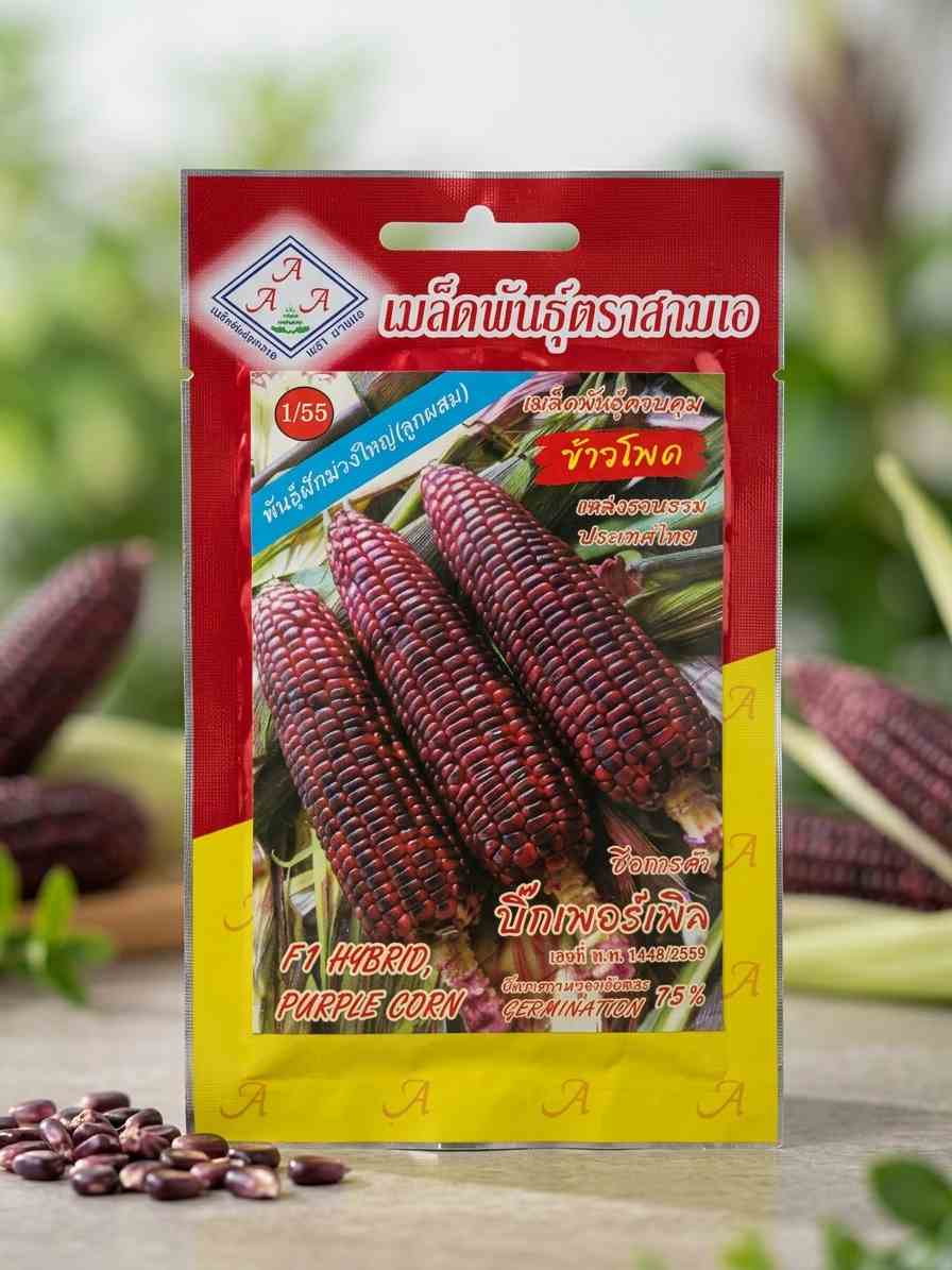 Purple Corn F1 Hybrid - 10 gram seeds - AAA - Thai