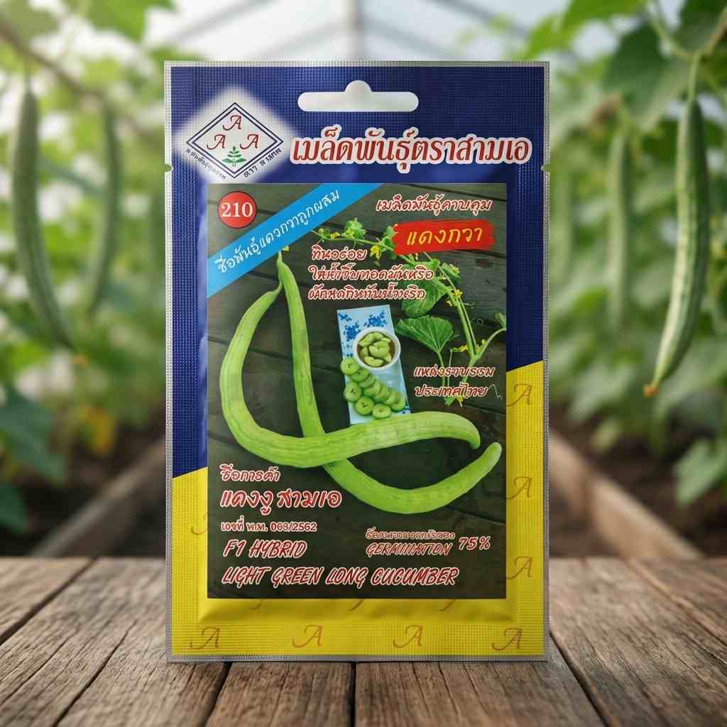 Light Green Long Cucumber F1 Hybrid (Tar Kakdi) - 1 gram - AAA - Thai