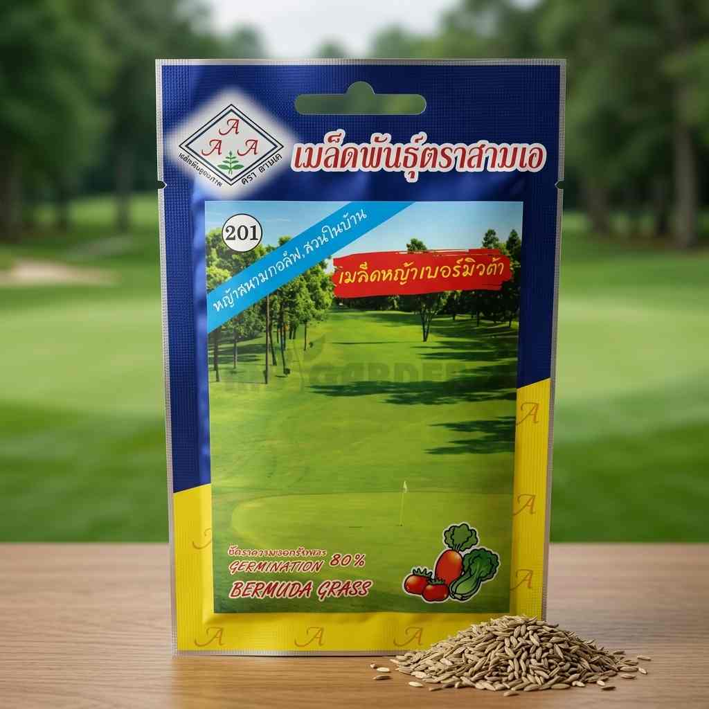 Bermuda Grass Seed - 03 gram - AAA - Thai