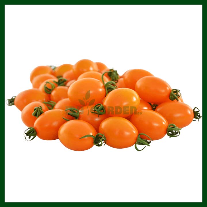 Cherry Tomato Dazzling F1 Hybrid (20 Seeds) - MGS1378