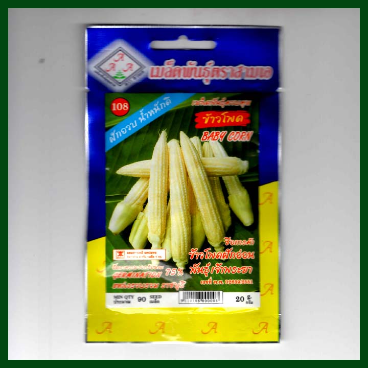 Baby Corn - 20 gram seeds - AAA - Thai