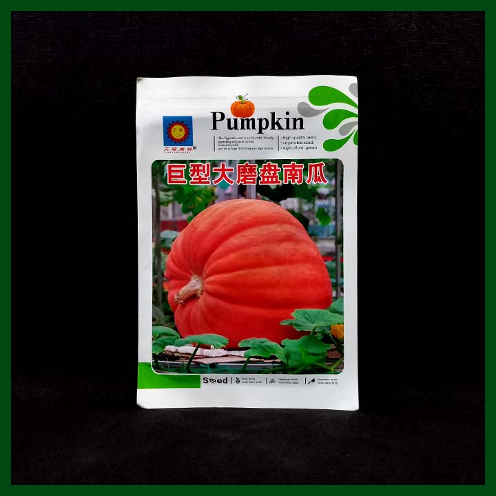 Giant Grindstone Pumpkin - Chinese (Expired)