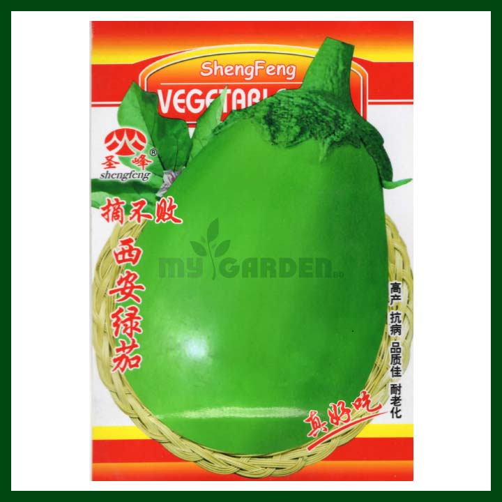 Green Eggplant - Shengfeng - Chinese (Expired)