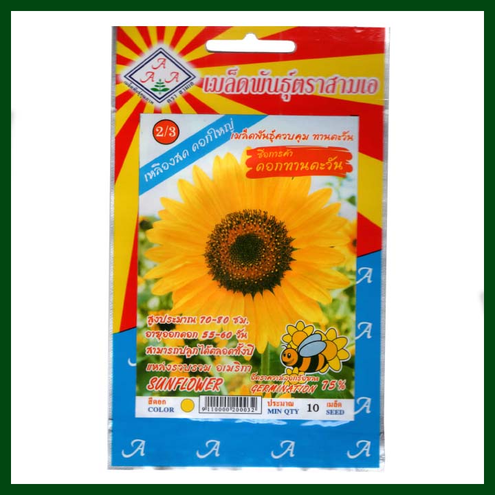 Sunflower - 10 seeds - AAA - Thai