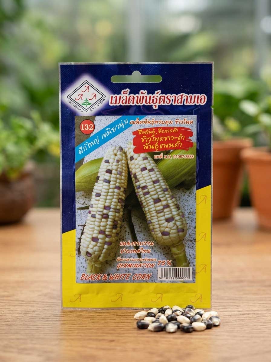 Black & White Corn - 15 gram Seeds - AAA - Thai