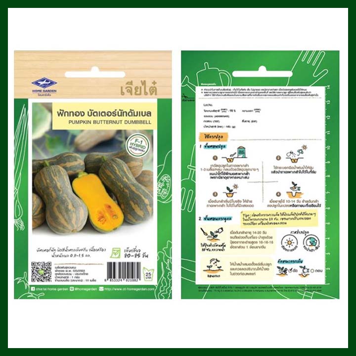 F1 Hybrid Pumpkin Butternut Dumbbell - 10 seeds - ChiaTai - Thai