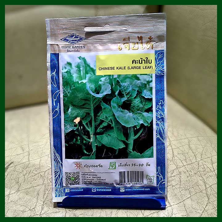 Chinese Kale (Large Leaf) - 2260 seeds - Chia Tai - Thai