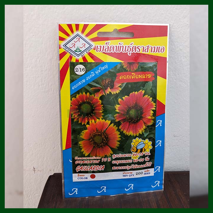 Gaillardia - 200 seeds - AAA - Thai