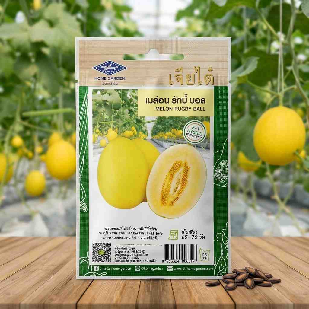 Melon Rugby Ball F1 Hybrid - 40 seeds - ChiaTai - Thai