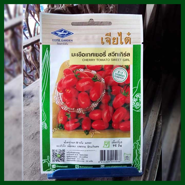 Cherry Tomato Sweet Girl F1 Hybrid - 50 seeds - AAA - Thai