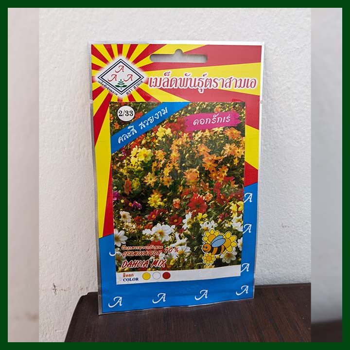 Dahlia - 30 seeds - AAA - Thai