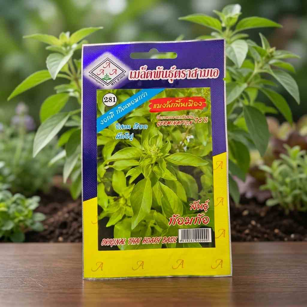Original Thai Hoary Basil - 300 Seeds - AAA - Thai