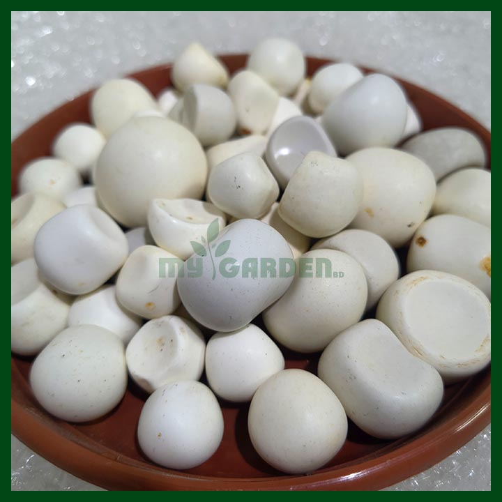 White Matte Pebbles (15 mm to 45 mm) - Image 3