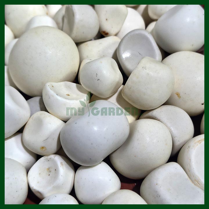 White Matte Pebbles (15 mm to 45 mm)