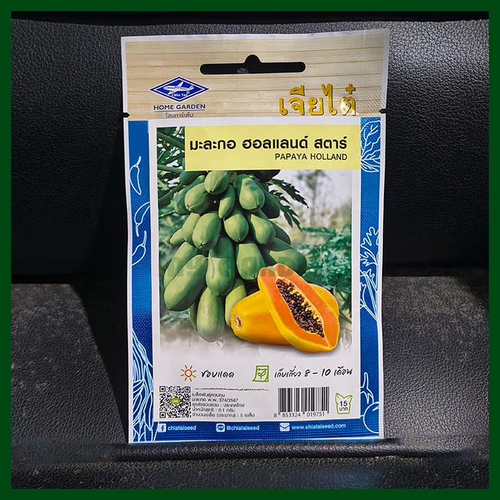 Papaya Holland - Thai - 05 seeds - Chia Tai