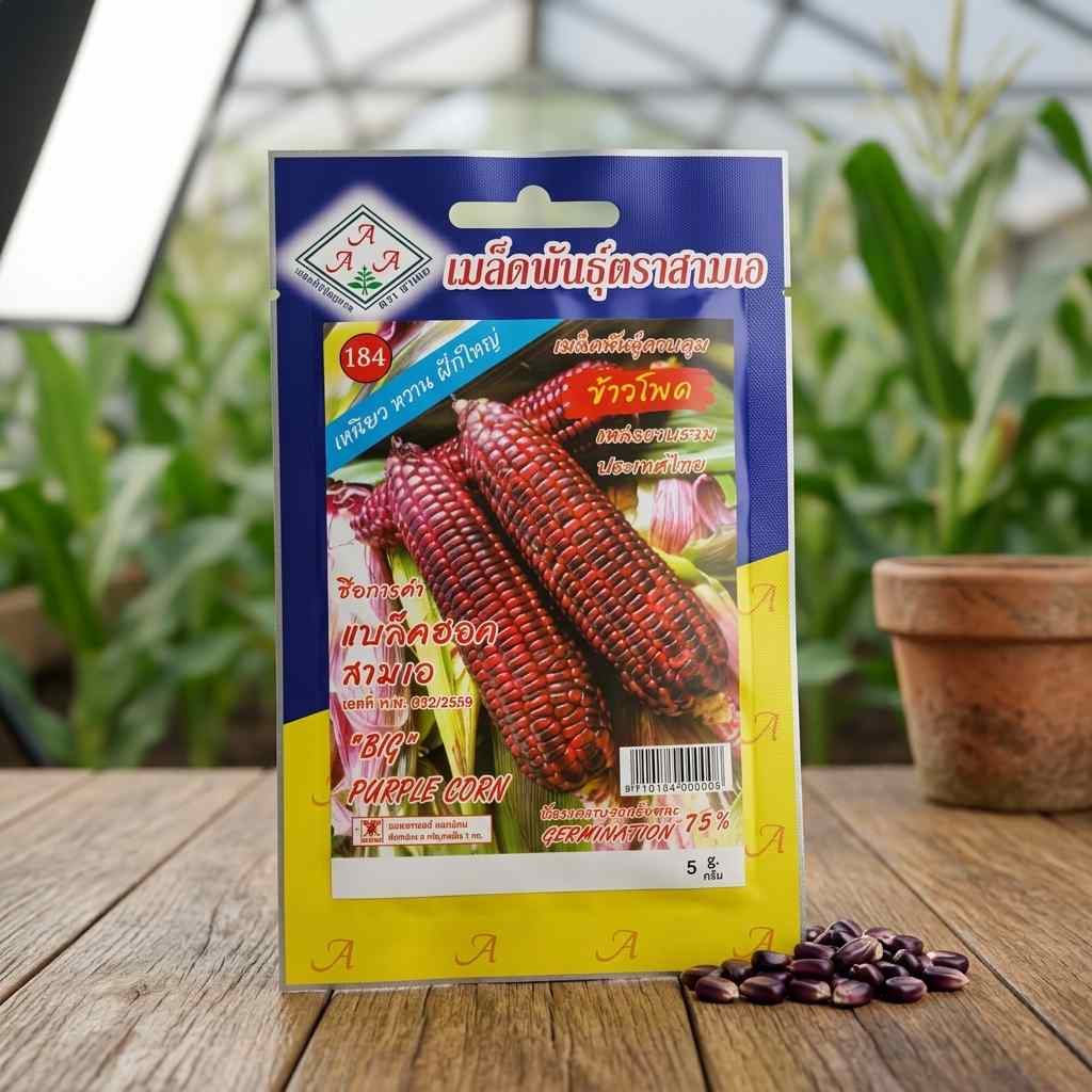 Big Purple Corn - 5 gram seeds - AAA - Thai