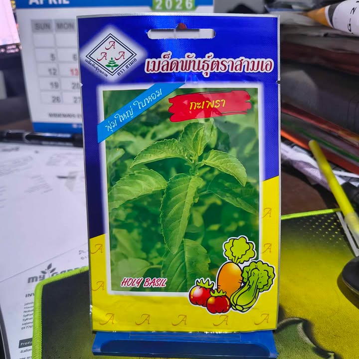 Holy Basil (Thai) - 4000 Seeds - AAA - Thai