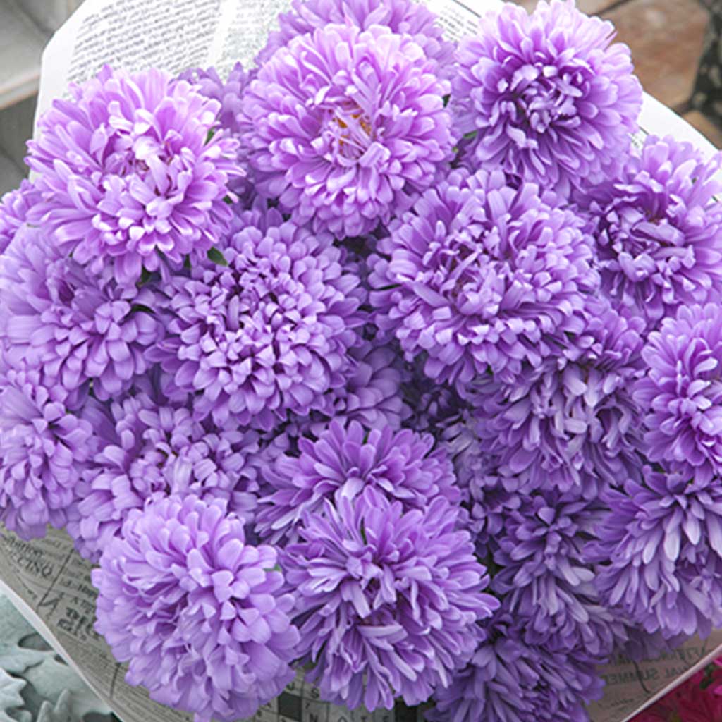 Aster Light Blue (Optimo) - 1000 seeds - Takii