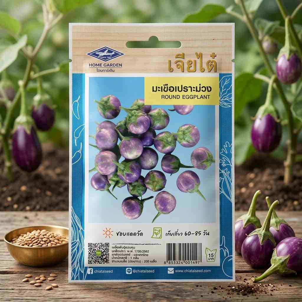 Round Eggplant - 200 seeds - ChiaTai - Thai